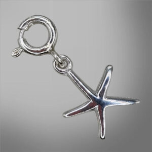 Bedel Bintang Laut Biru